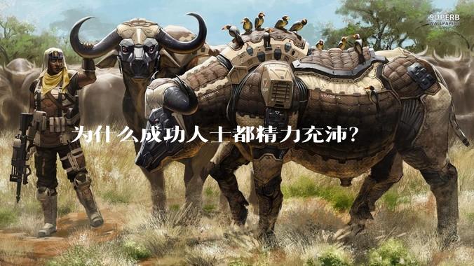 为什么成功人士都精力充沛？
