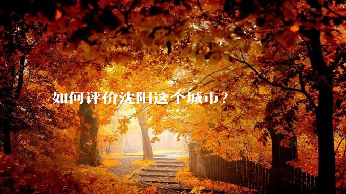 如何评价沈阳这个城市？