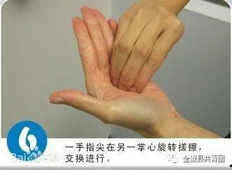 手心手背免费观看,免费观看，情感纠葛的温情演绎