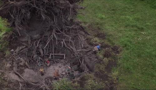 彼得兔完整电影免费观看,奇幻冒险之旅——免费观影指南