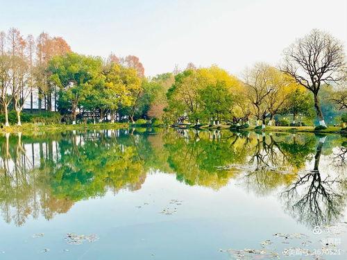 杭州美丽风景视频,诗意画卷中的山水画卷