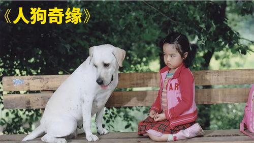 人狗奇缘 在线播放,跨越物种的深情羁绊
